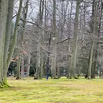 Apartamento U Kasi Świeradów-Zdrój