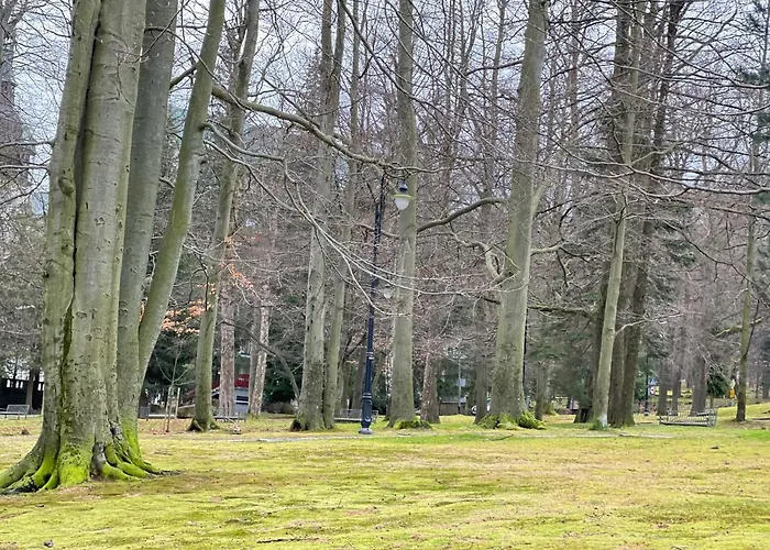 Appartement U Kasi Świeradów-Zdrój